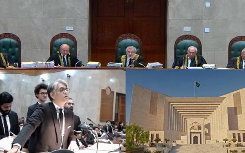 حامد رضا نے 22دسمبر کو کاغذات نامزدگی جمع کرائے اور خود کو سنی اتحاد کونسل کا امیدوار کہا،وکیل الیکشن کمیشن 