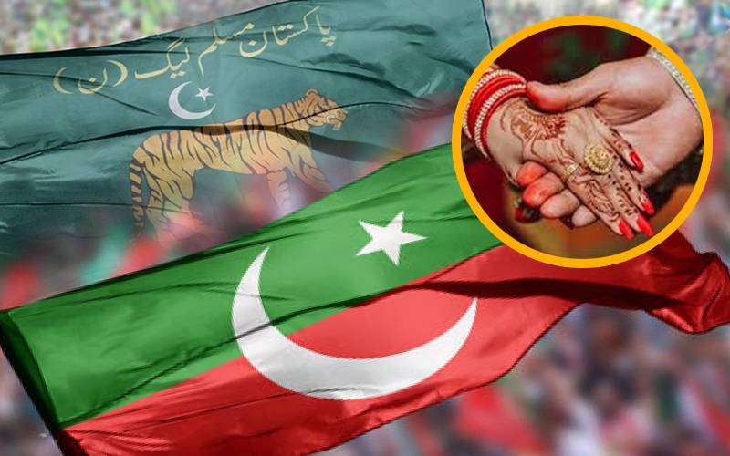 گیلپ کا انوکھا سروے، پی ٹی آئی اور ن لیگ کے حامیوں میں شادی کا ہونامشکل قرار 