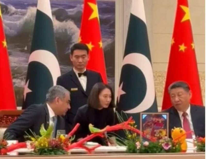 وزیر داخلہ  کی چینی صدر سے ملاقات، چینی شہریوں کی سیکیورٹی پر بریفنگ