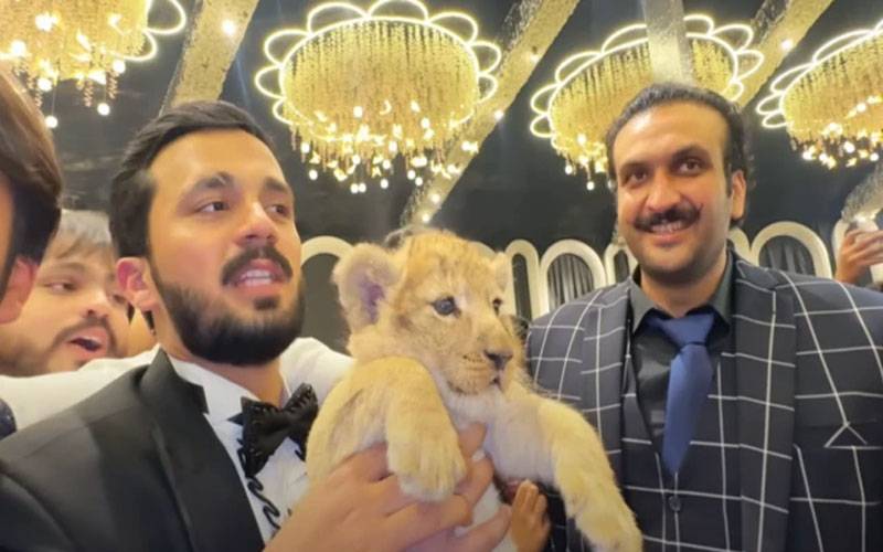 محکمہ وائلڈ لائف کا معروف ٹک ٹاکر رجب بٹ کیخلاف ایک بار پھر عدالت سے رجوع کا فیصلہ