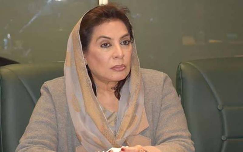 پاکستان کا نظام عالمی سطح پر مذاق بن چکا ہے: فہمیدہ مرزا