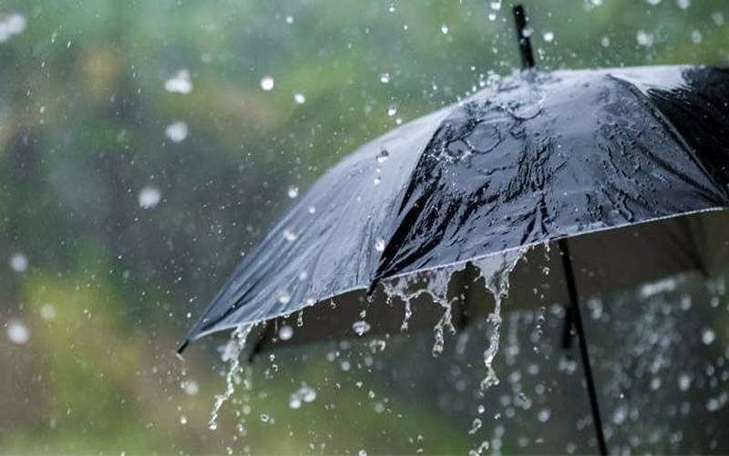 ملک میں بارش برسانے والا سسٹم کب داخل ہوگا؟ محکمہ موسمیات نے بتادیا 