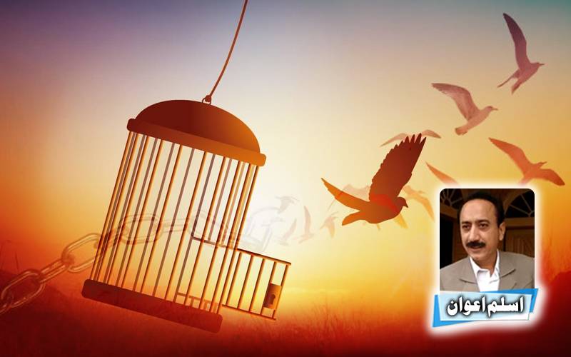   اب ہمیں آزادی کی قیمت پہ امن ملے گا 