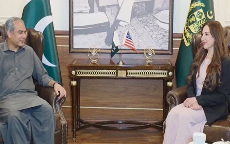 وفاقی وزیر داخلہ محسن نقوی سے قائم مقام امریکی سفیر کی ملاقات،پاکستان میں دہشتگردی کی مذمت 