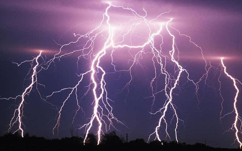 باجوڑ، آسمانی بجلی گرنے سے 50 مویشی ہلاک 