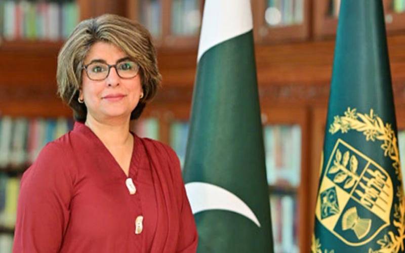 پاکستان کسی بھی قسم کی مہم جوئی کا بھرپور جواب دینے کیلئے تیار ہے، سیکرٹری خارجہ