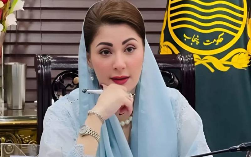 ملیریا کا خاتمہ اور صحت مند معاشرہ پنجاب حکومت کی ترجیح ہے: مریم نواز