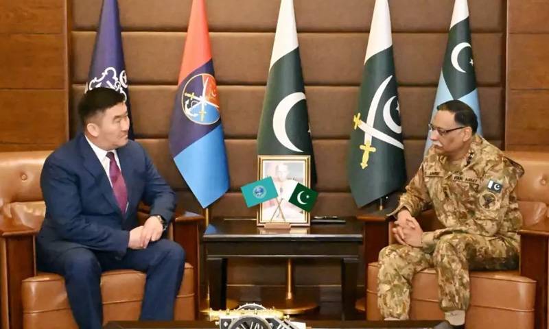 شنگھائی تعاون تنظیم کے ایگزیکٹو ڈائریکٹر کی جنرل ساحر شمشاد مرزا سے ملاقات