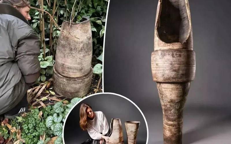 ٹوٹا گملا1کروڑ85 لاکھ میں فروخت، مالک حیران