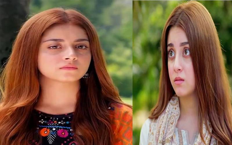 علیزے شاہ نے سوشل میڈیا چھوڑ دیا، وجہ کیا بنی؟