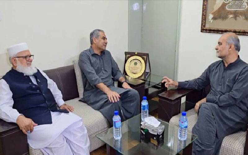 وزیرداخلہ محسن نقوی کی حافظ نعیم الرحمان سے ملاقات،اہم امور پر تبادلہ خیال