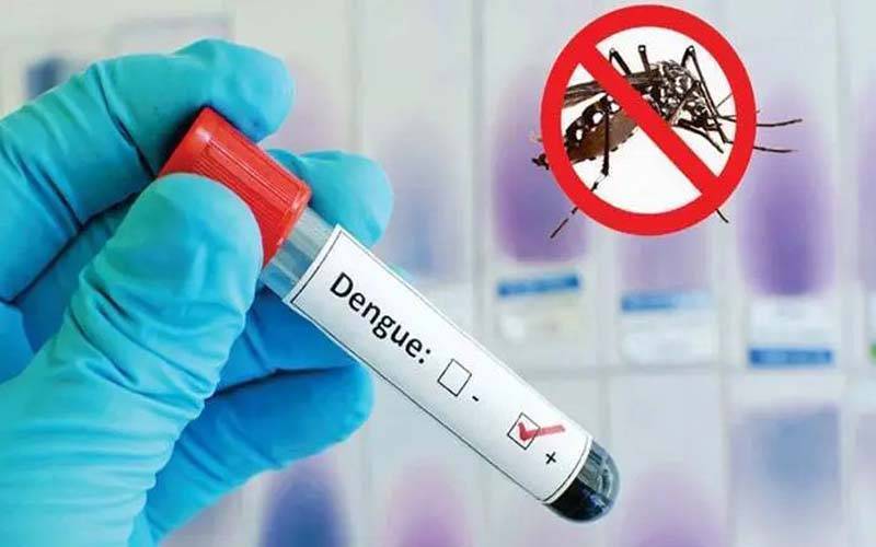  ڈینگی ایس او پیز  کی خلاف ورزی، 9 افراد گرفتار،دو ڈیری فارمز سیل 
