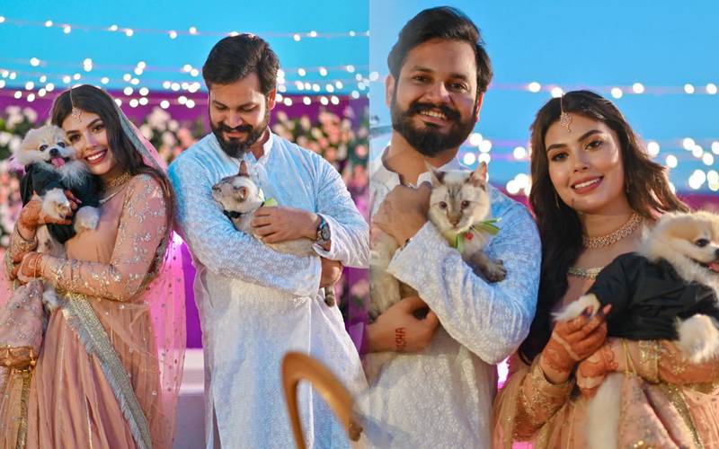 معروف یوٹیوبر اذلان شاہ اور وریشہ ماہانہ کتناکماتے ہیں؟