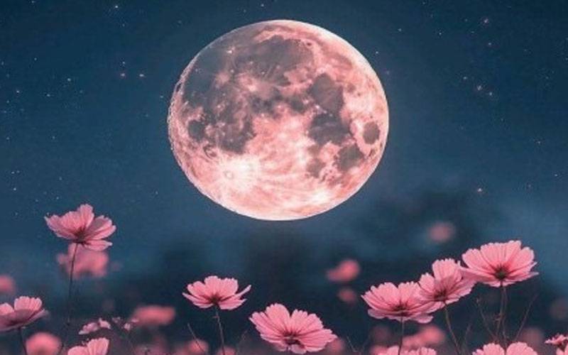 12 مئی کو پاکستان سمیت دنیا بھر میں
