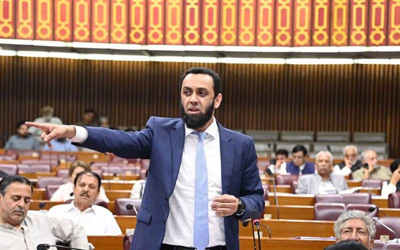 لائن آف کنٹرول پر50 بھارتی فوجی ہلاک کئے گئے:عطااللہ تارڑ