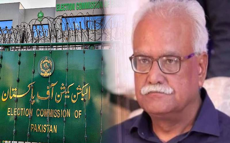 الیکشن کمیشن نے سینیٹر وقار مہدی کی کامیابی کا نوٹیفکیشن جاری کردیا