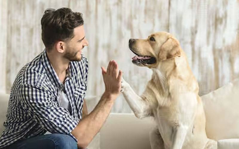 اب انسان اور جانور بھی آپس میں گفتگو کر سکیں گے؟