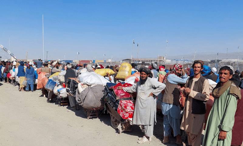 پنجاب سےافغانیوں سمیت13 ہزار442غیر قانونی مقیم باشندے ڈی پورٹ