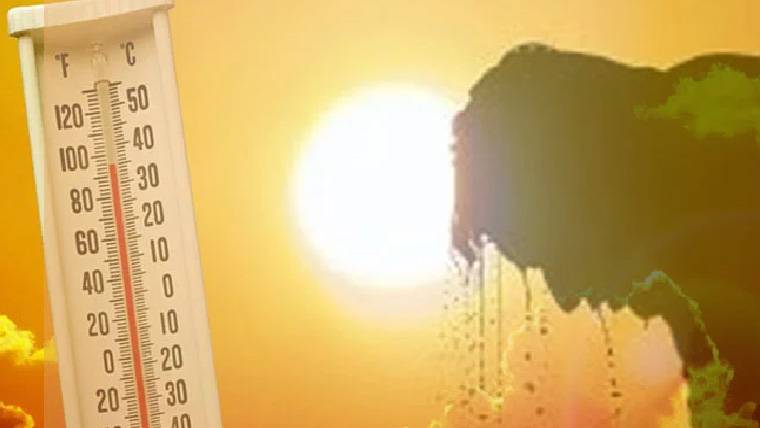 ہوشیار۔۔15سے20مئی تک گرمی سے بچیں،NDMAنے موبائل پر پیغام دیدیا