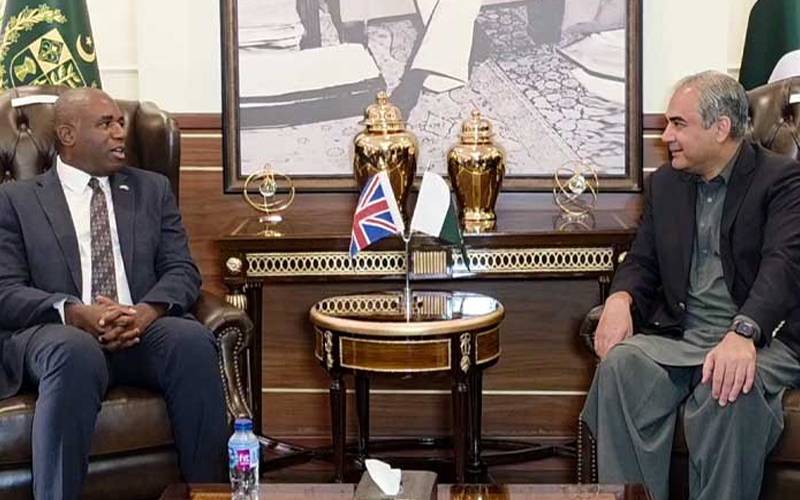  پاکستان دہشتگردی کیخلاف جنگ میں آہنی دیوار کی طرح کھڑا ہے: محسن نقوی 