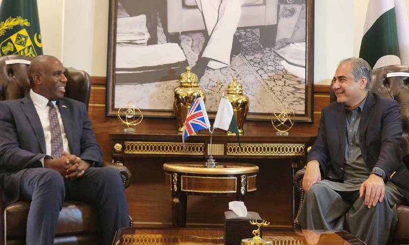 برطانیہ کے وزیر خارجہ کی وزیر داخلہ محسن نقوی سے ملاقات 