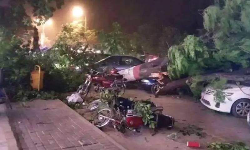 پشاور میں شدید آندھی و طوفان، درخت اور سائن بورڈز گرنے سے متعدد افراد زخمی