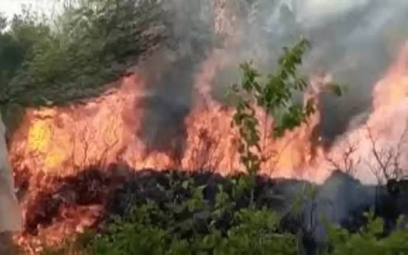 ہری پور: جنگلات میں لگی آگ پر گزشتہ روز سے تاحال قابو نہ پایا جاسکا