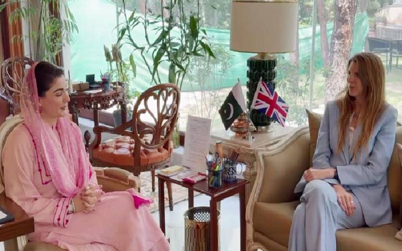 مریم نواز سے برطانوی ہائی کمشنر کی ملاقات، باہمی دلچسپی کے امور پر گفتگو