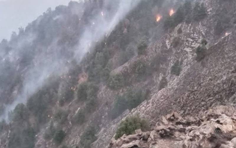 قلعہ سیف اللہ کے علاقے سپن غر کے جنگلات میں لگی آگ پر قابو پا لیا گیا 