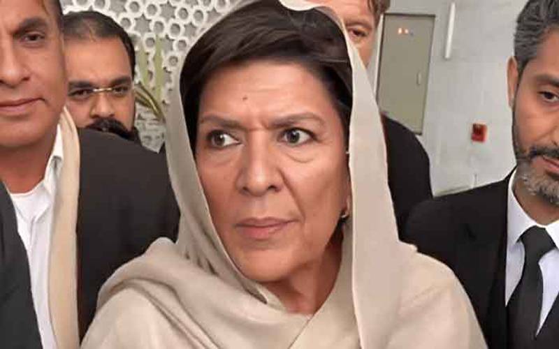 روز ہمارے خلاف نئے کیسز بنائے جارہے ہیں: علیمہ خان