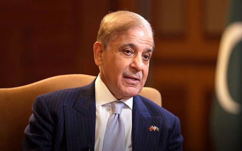 آرمی چیف کو فیلڈ مارشل بنانے کا فیصلہ میرا تھا: وزیرِ اعظم شہباز شریف