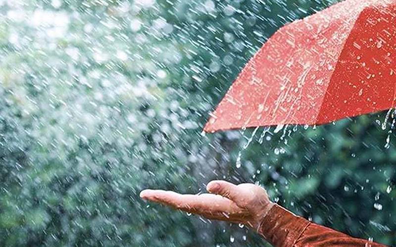 اس سال مون سون میں زیادہ بارشیں متوقع ہیں: این ڈی ایم اے