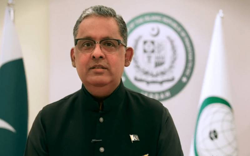 25 کروڑ کی آبادی کا پانی روکنا اعلانِ جنگ تصور کیا جائے گا: رضوان سعید شیخ