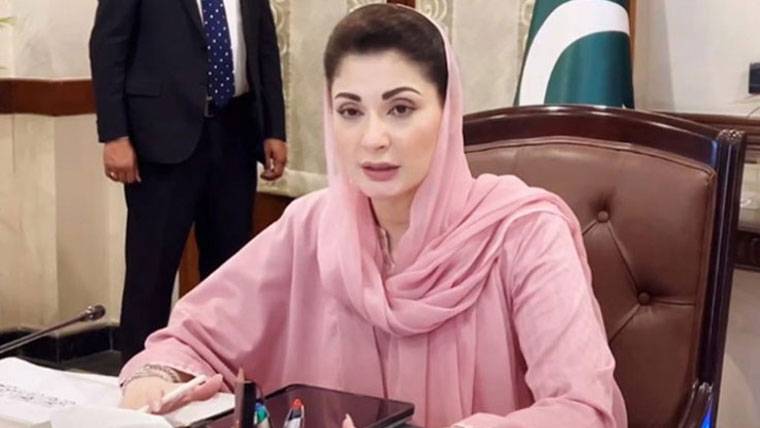 مارکیٹنگ جدید معیشت کی ریڑھ کی ہڈی ہے: مریم نواز 