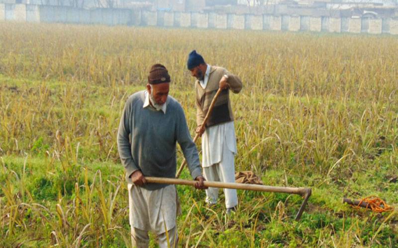 کسانوں کیلئے خوشخبری، بغیر ضمانت قرض دینے کے منصوبے کا اعلان