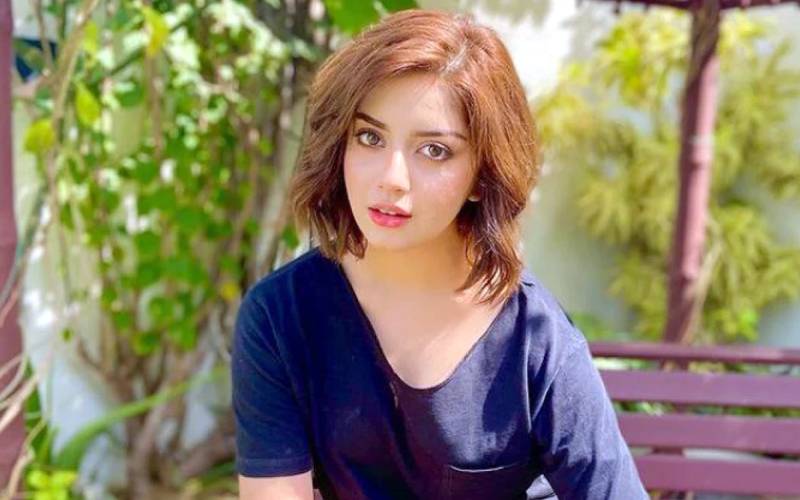 علیزے شاہ نے عیدالاضحیٰ کے حوالے سے جذباتی پیغام شیئرکردیا