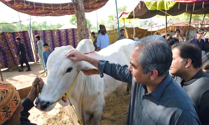  وزیرداخلہ کااسلام آباد میں  ایکسپریس وے پر قائم  بکر منڈی کا دورہ
