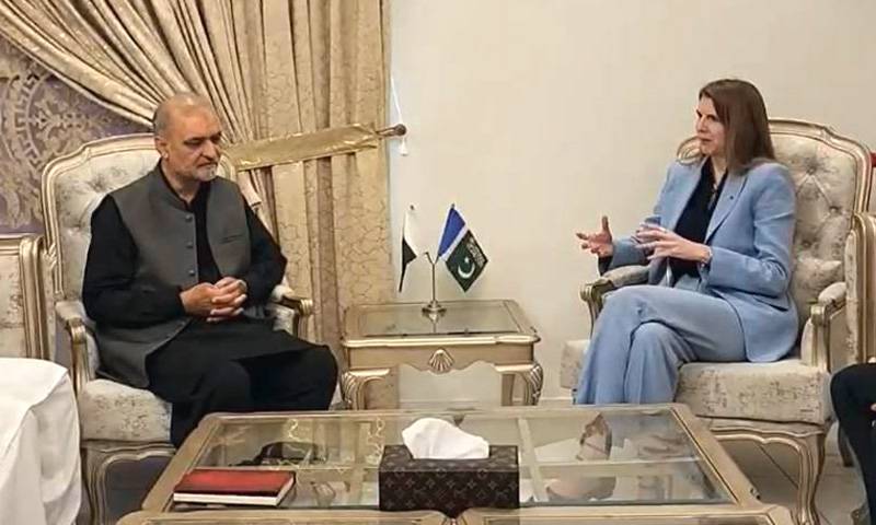 امیر جماعت اسلامی حافظ نعیم سے برطانوی ہائی کمشنر جین میریٹ کی ملاقات 