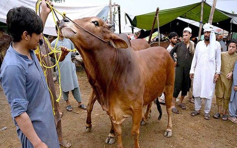 پنجاب میں پانچ سے گیارہ جون تک دفعہ 144نافذ