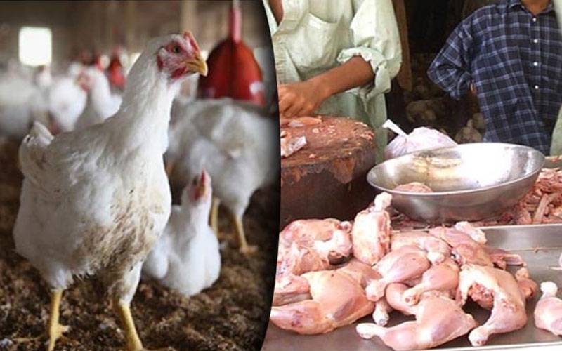برائلر مرغی کے گوشت کی قیمت میں مزید اضافہ