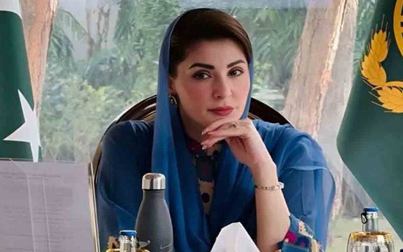 وزیر اعلیٰ پنجاب مریم نواز سے ایم ڈی اوورسیز پاکستانی فاؤنڈیشن افضال بھٹی کی ملاقات