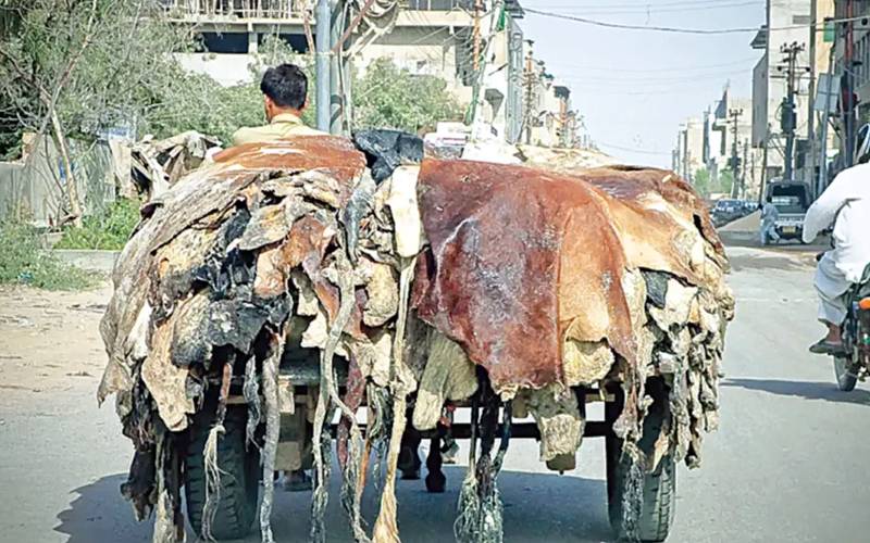 قربانی کی کھالیں کالعدم تنظیموں کونہ دیں: محکمہ داخلہ کا انتباہ