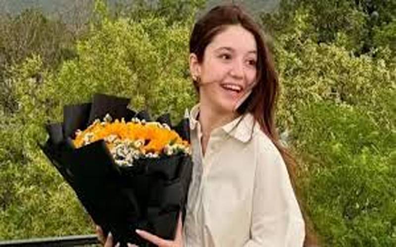  ثنا یوسف کے قاتل کی گرفتاری،113 ویڈیوز اور300فون کالز کا تجزیہ کیا،آئی جی اسلام آباد