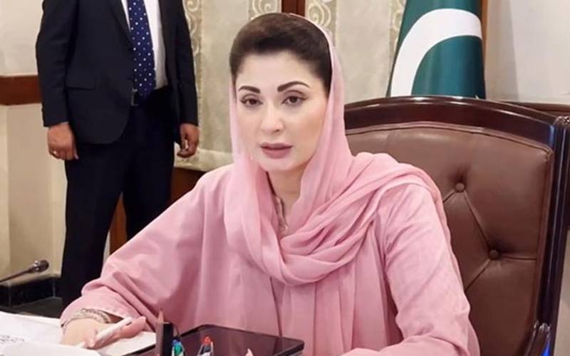 جو معاشرہ بچوں کو امن نہیں دے سکتا وہ خود کبھی پائیدار امن نہیں پاسکتا: مریم نواز