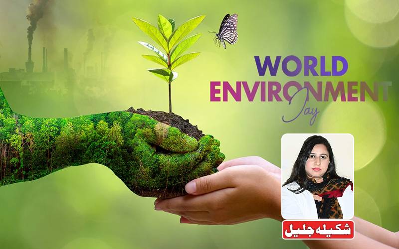  ماحولیات کا عالمی دن اور پاکستان: ایک دہائی کی موسمیاتی جدوجہد