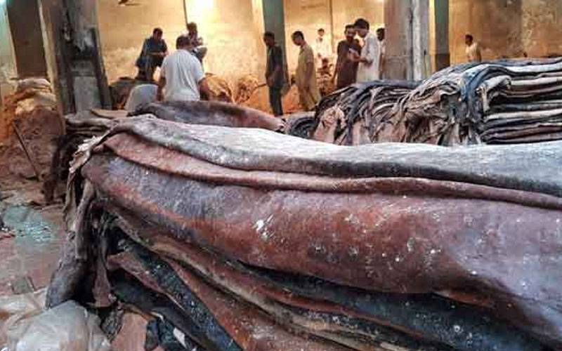  قربانی کی کھالوں کا تخمینہ 6 ارب 35 کروڑ روپے