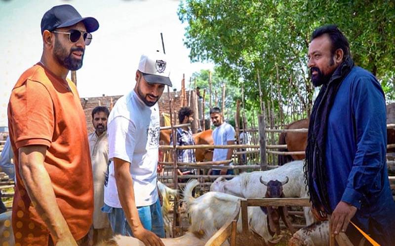 کھیل  کےمیدان میں وکٹیں اڑانے والے سٹار  کرکٹرز مویشی منڈی میں ناکام ہو گئے