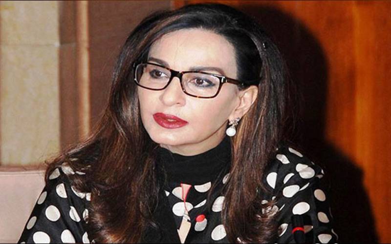 پاکستان کیخلاف بیان لینے آیا بھارتی وفد ناکام رہا: شیری رحمان