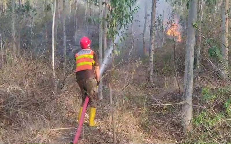 مالا کنڈ ؛پہاڑ پر آگ بجھانے کی کوشش میں ایک فائر فائٹر کی حالت غیر، ہسپتال منتقل 