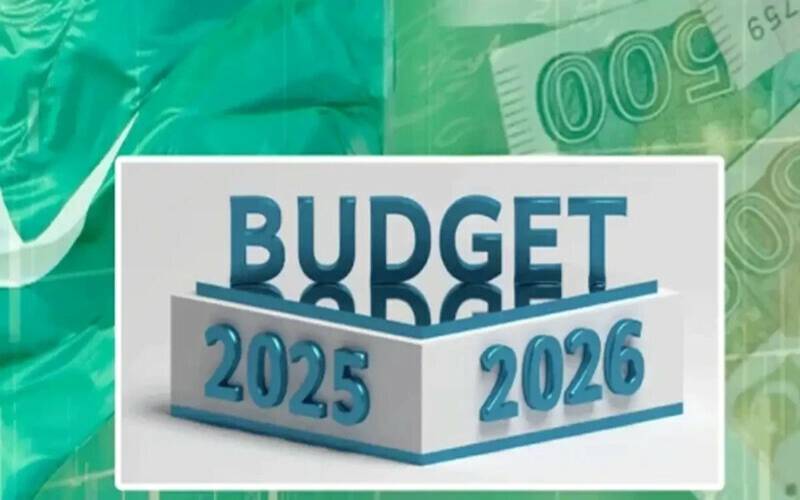 مالی سال 26-2025 کا سالانہ پلان  سامنے آگیا ، بجٹ میں کس کو کتنا دیا جائے گا؟